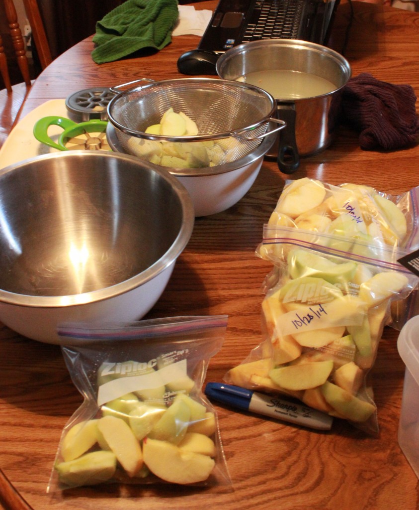 The assembly line of apple prep: 1. Peeling/cutting area with the ever important computer streaming Dave Ramsey!), 2. Lemon/water bath, 3. Straining and apple storage bowl and 4. The Ziploc bag labeling and storage area.  