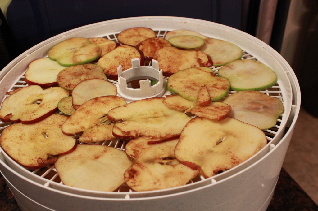 Apples arranged before dehydrating